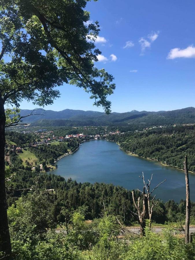 Apartman Patricia Appartement Fužine Buitenkant foto